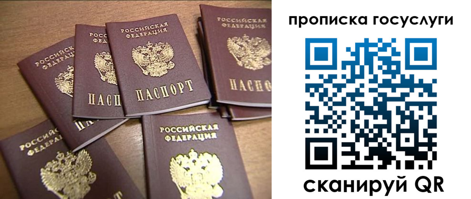 прописка ребенка в Боброве